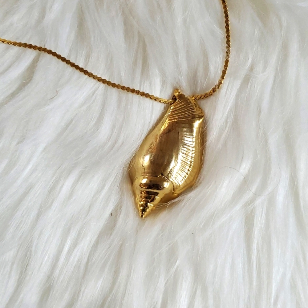Seashell - Picture 2 of 3